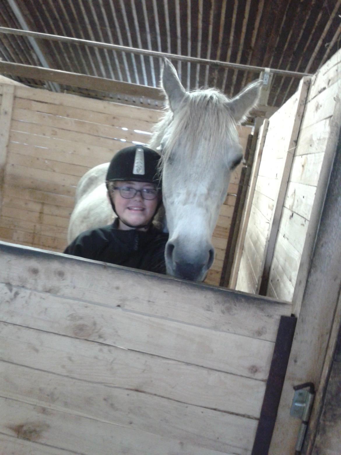 Anden særlig race Emma (Rideskolehest) - Emma og jeg var lige blevet færdige med at ride så havde lige sat hende i boksen :-) billede 7