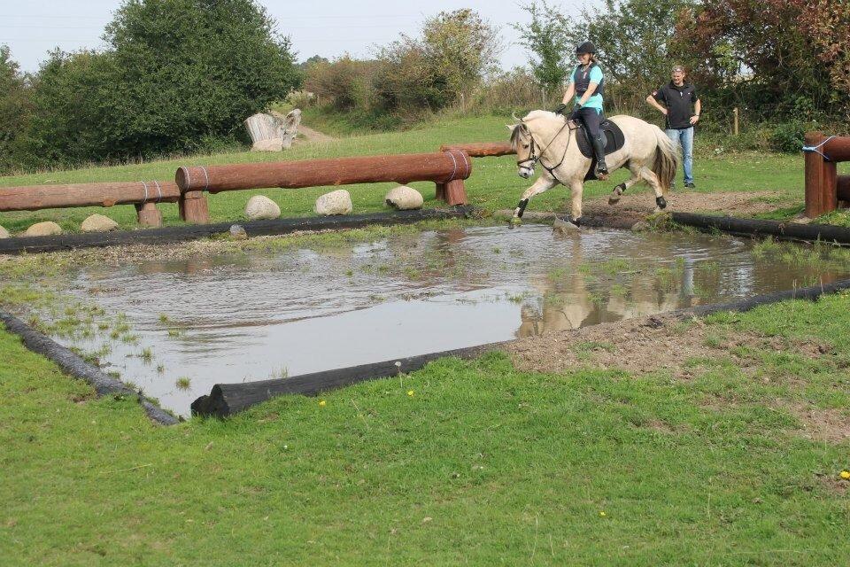 Fjordhest Carlos Sax - Terræntræning Langå september 2014 billede 18