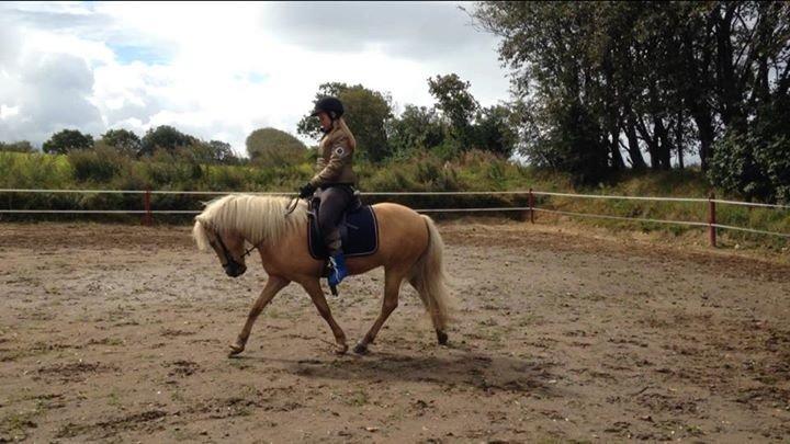 Islænder Ganti fra Kjeldsig <3 - Der jeg prøvede Ganti :-) billede 6