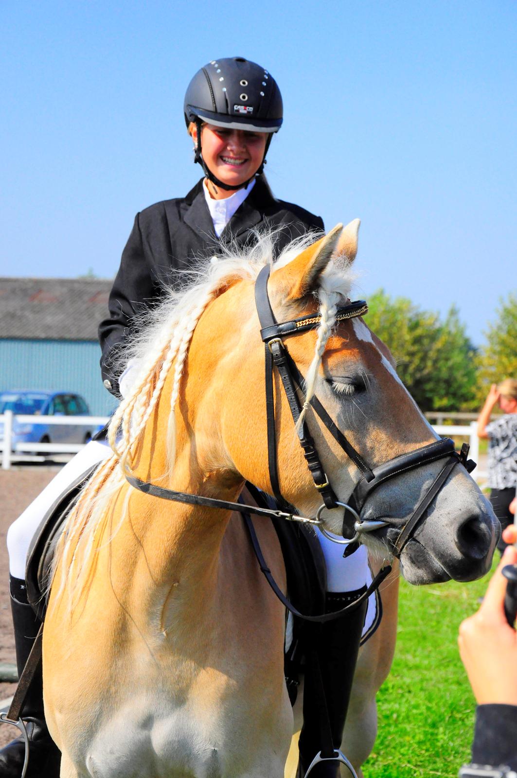 Haflinger Unikka Stald Friis billede 37