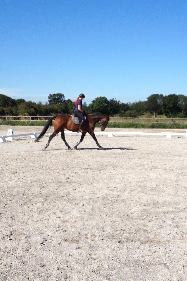 Holstener Coco Chanel Mak billede 3