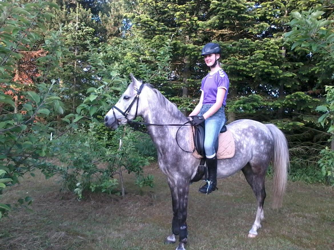 Anden særlig race Diddl (Seruphus's Diddl) - Diddl ved frugttræerne billede 13