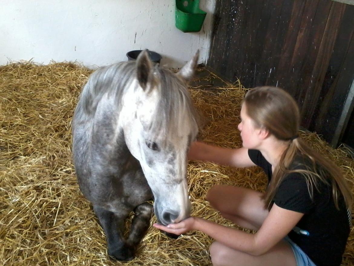 Anden særlig race Diddl (Seruphus's Diddl) - Diddl er træt billede 10
