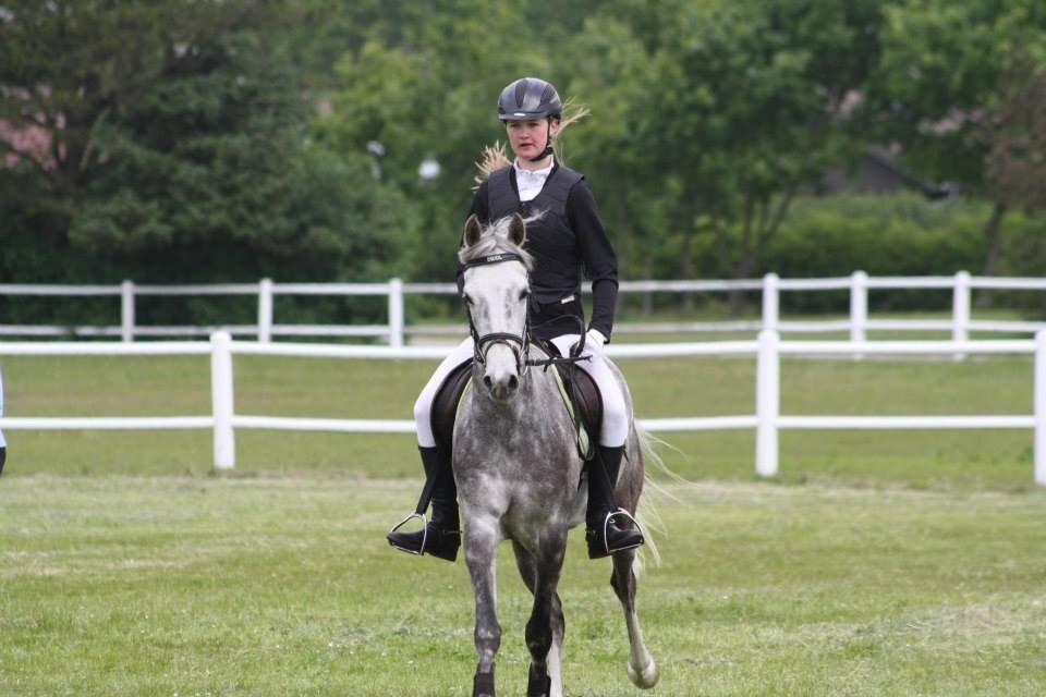 Anden særlig race Diddl (Seruphus's Diddl) - Spring stævne billede 16