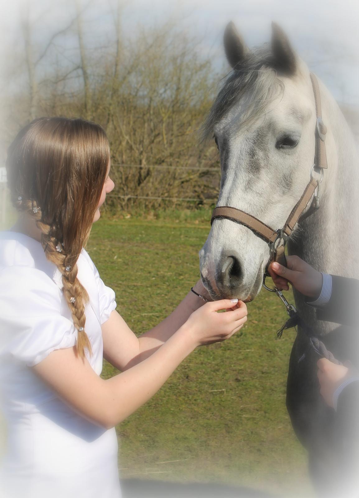 Anden særlig race Diddl (Seruphus's Diddl) - Fra min konfirmation billede 17