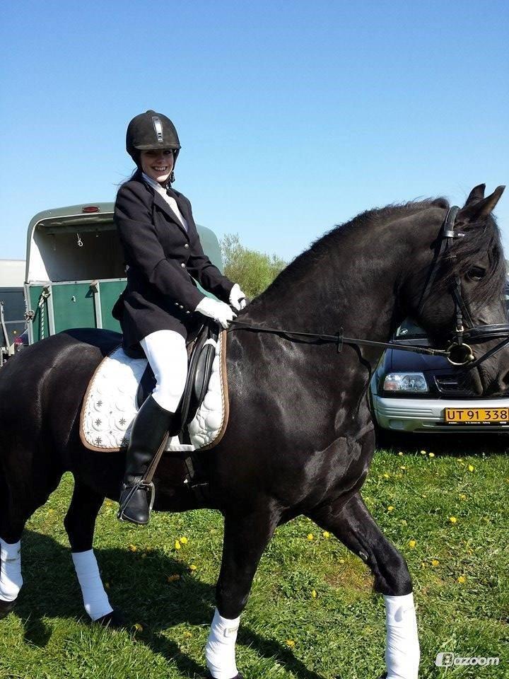 Frieser Avalon billede 1