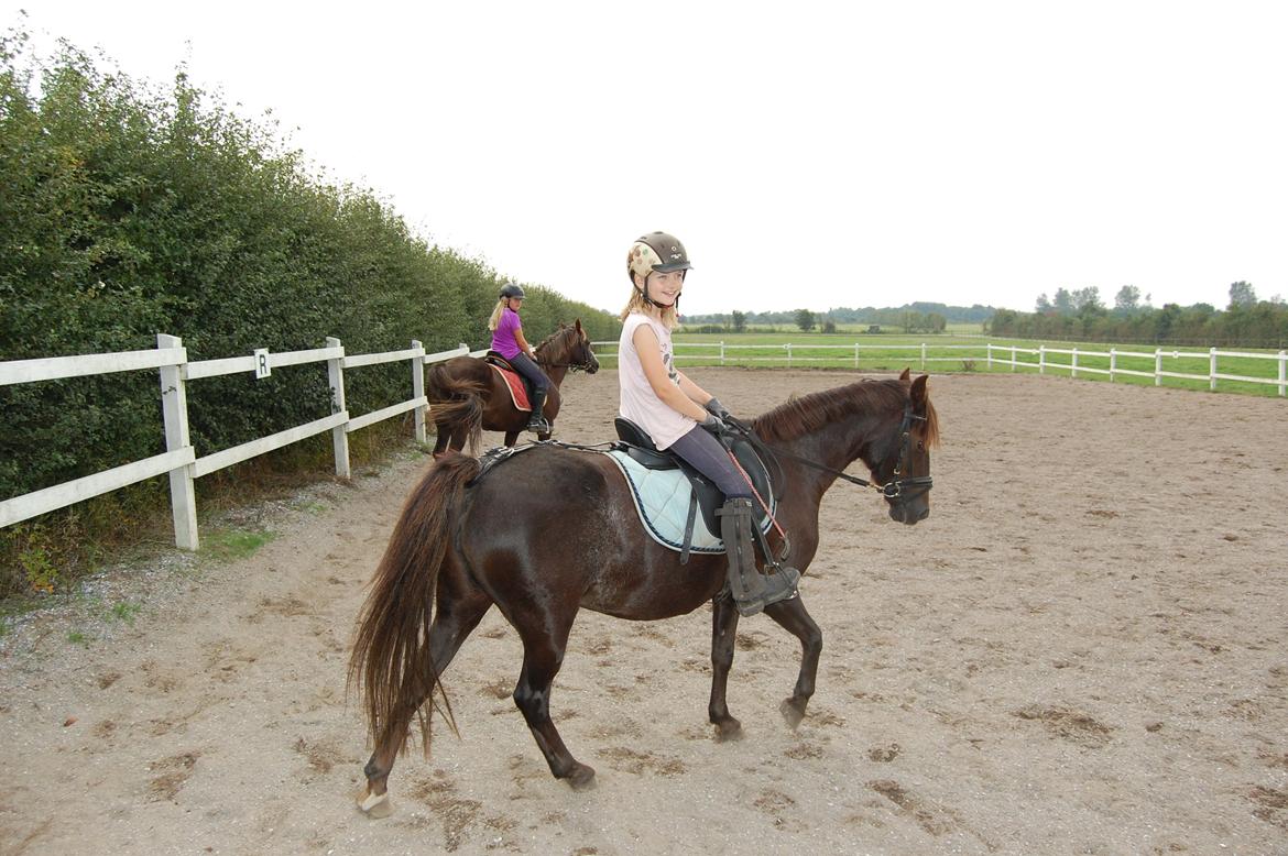 New Forest Bella - Nu skridter vi af billede 7