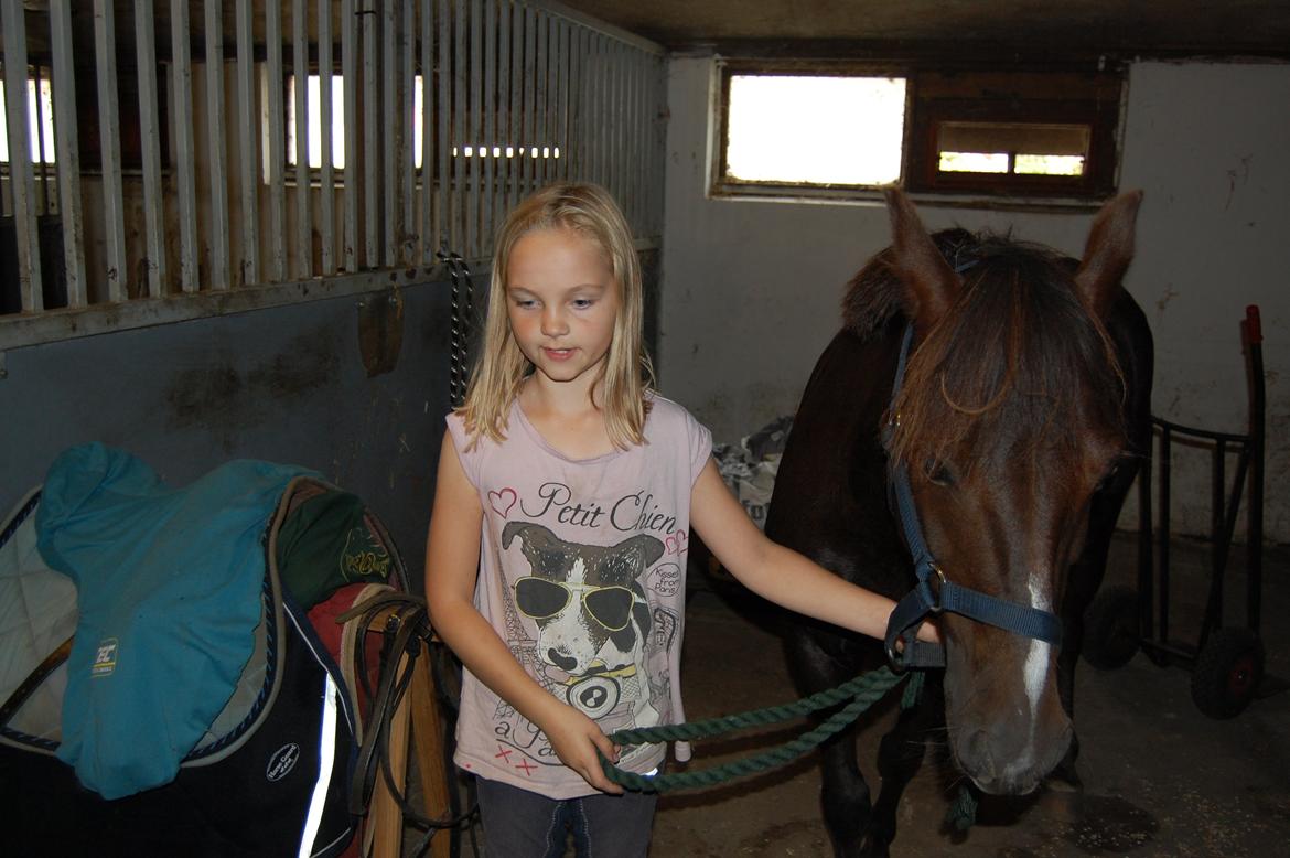 New Forest Bella billede 9