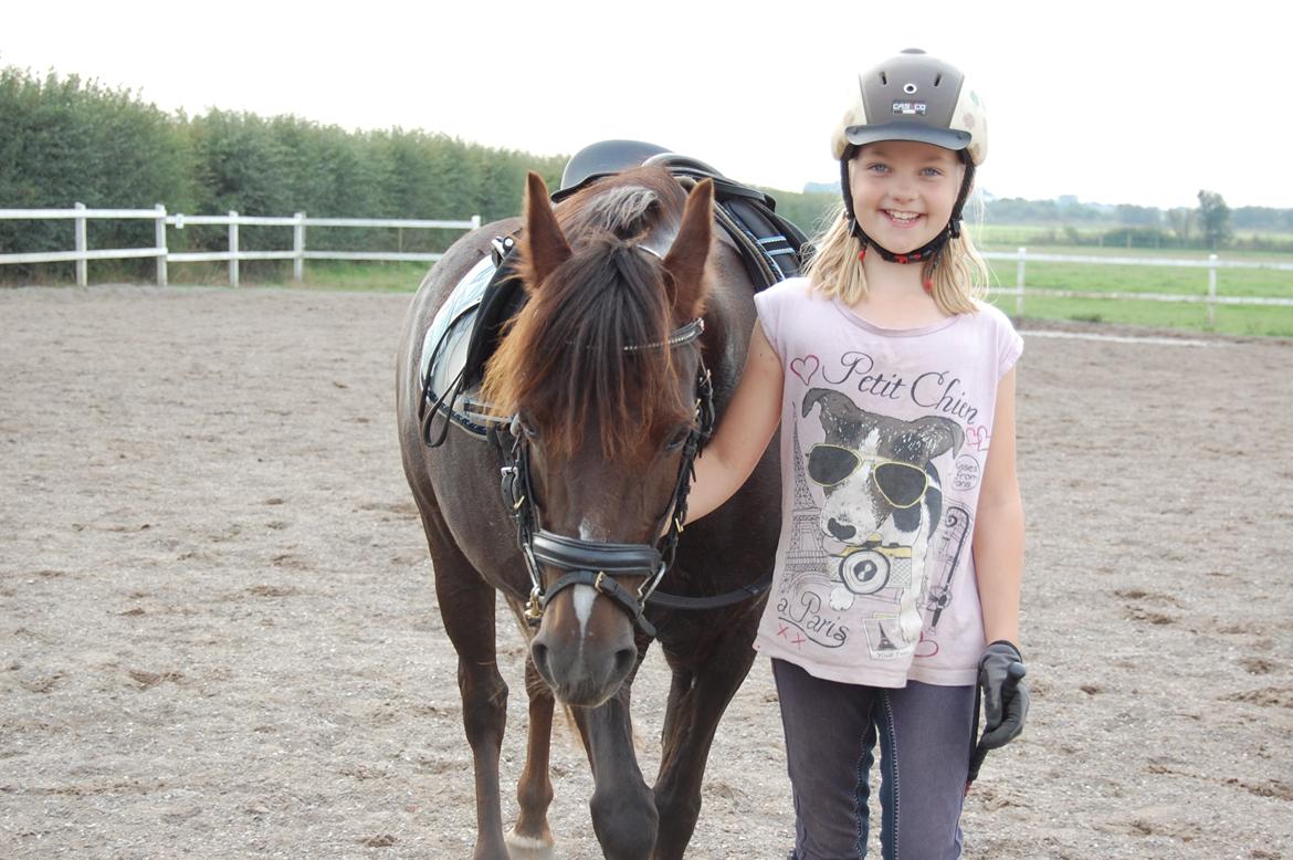 New Forest Bella billede 5