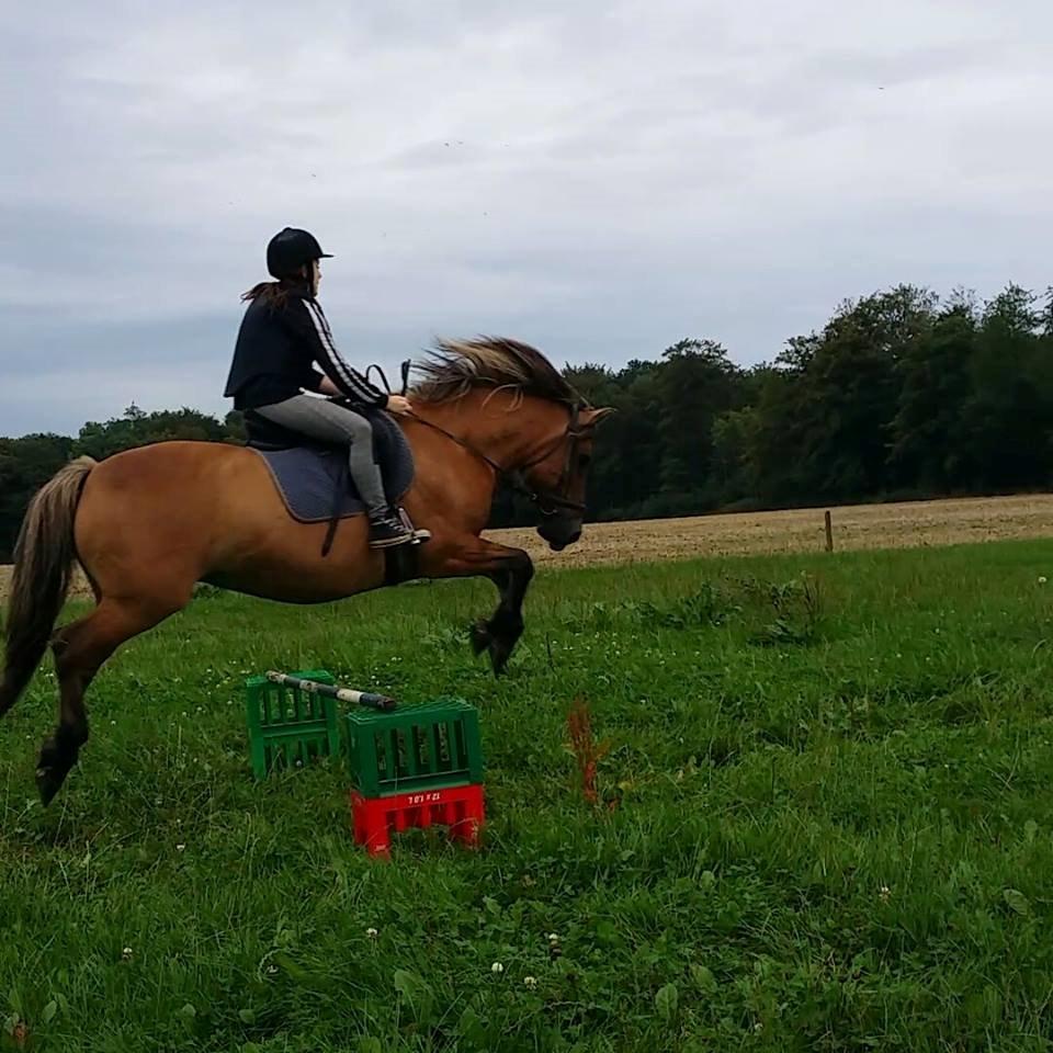 Anden særlig race Tøsen<3 billede 5