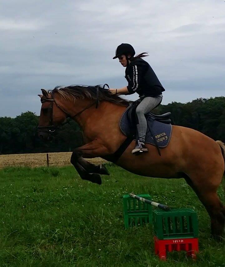 Anden særlig race Tøsen<3 billede 6