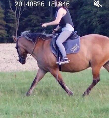 Anden særlig race Tøsen<3 billede 7