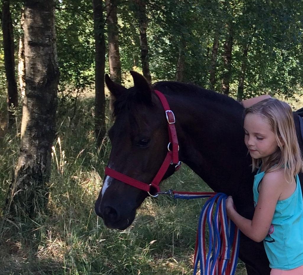 New Forest Bella - "Jeg er en ægte fotomodel" billede 13