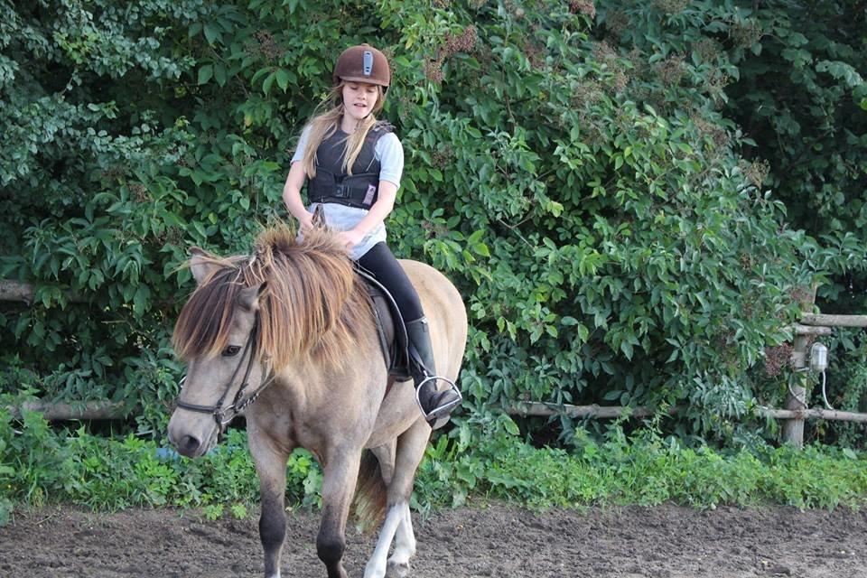 Islænder Blettur fra Tjenergården billede 1