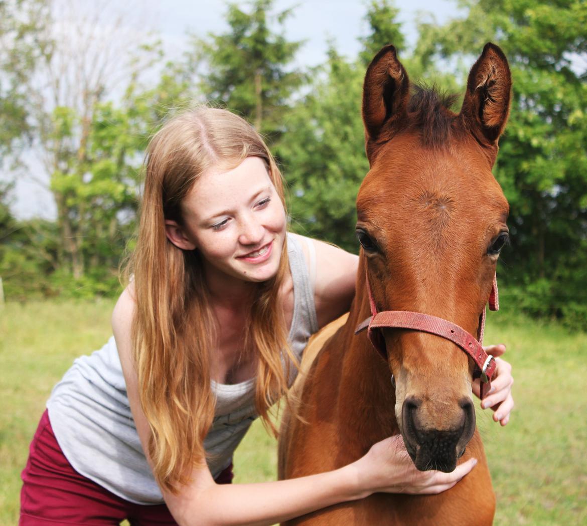 Dansk Varmblod Zo Flow Engel - Flowie & Line Kirstine Nielsen // Juni 2014 billede 7