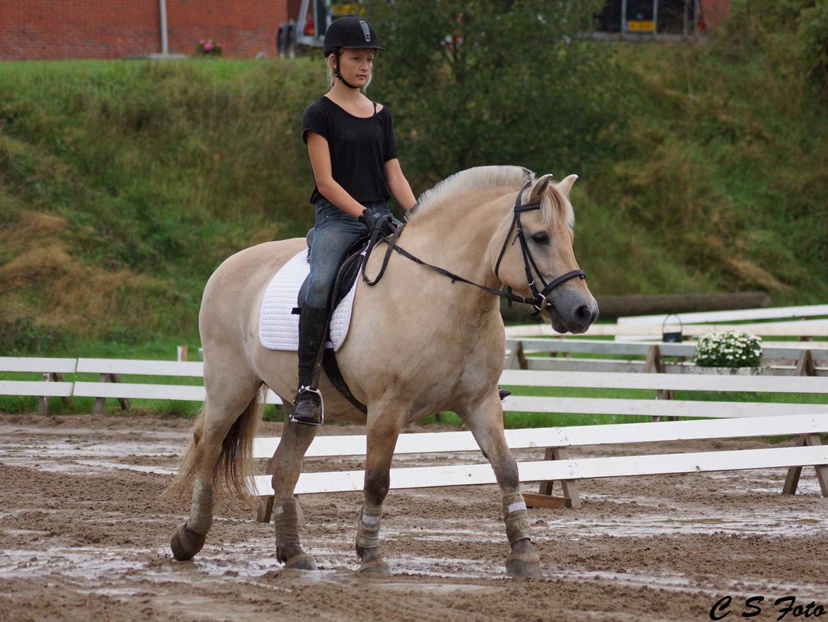 Anden særlig race Frederik - stævne på Struer Rideklub, LD1 59,44%  billede 7