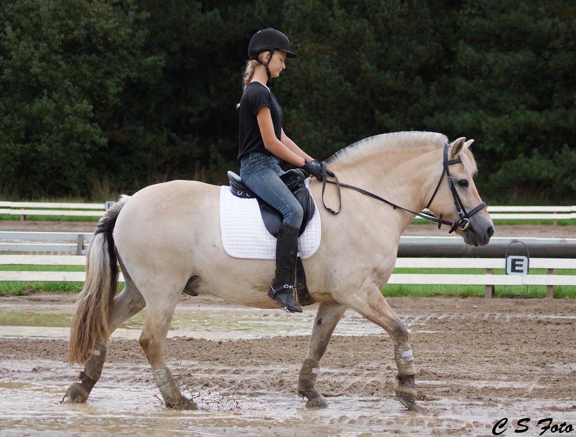 Anden særlig race Frederik - stævne på Struer Rideklub, LD1 59,44%  billede 5
