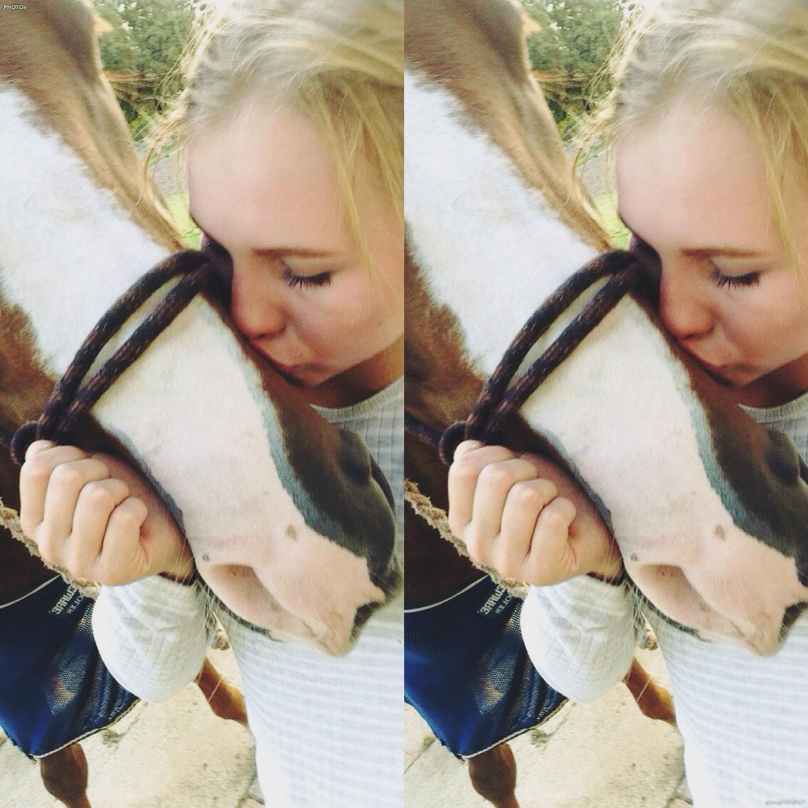 Anden særlig race Bacardi billede 3