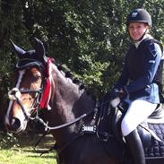 Irsk Sportspony Clonkela Miss <3