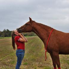 Anden særlig race Lille Nora