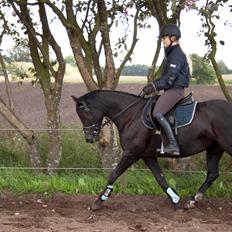 DSP Bakkegaarden's Mrs Magic