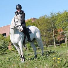 Anden særlig race Silver <3 