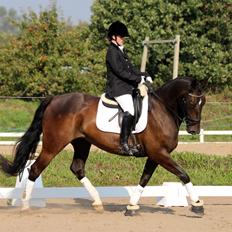 Anden særlig race New princess