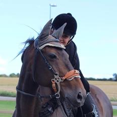 DSP Nørlunds Miss Tanna