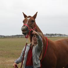 Anden særlig race Lille Nora