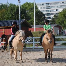 Anden særlig race Tyson
