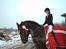 Connemara Quiva <3 - 2. stævne, og vindere igen. Den pony er en stjerne! - 18/12-13