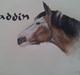Anden særlig race Blanding - Aladdin <3