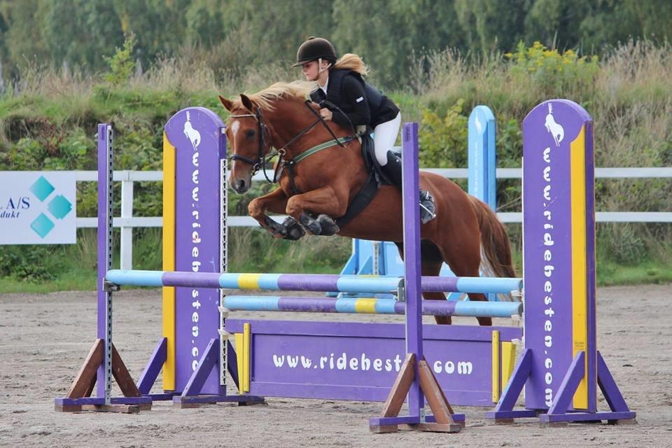 Appaloosa Sequoia van de lorkeershoeve <3 - vores første LC (100cm) HUR 7/9-14 foto Sofie billede 6