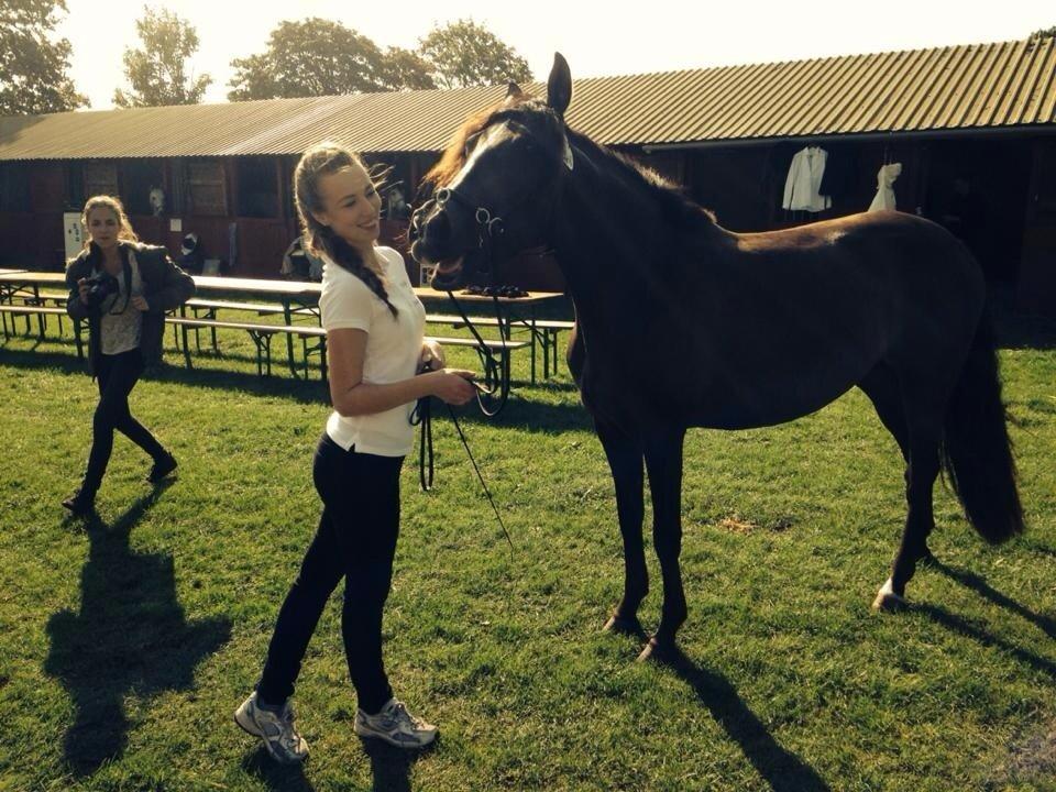 Pura Raza Española Autentica billede 15