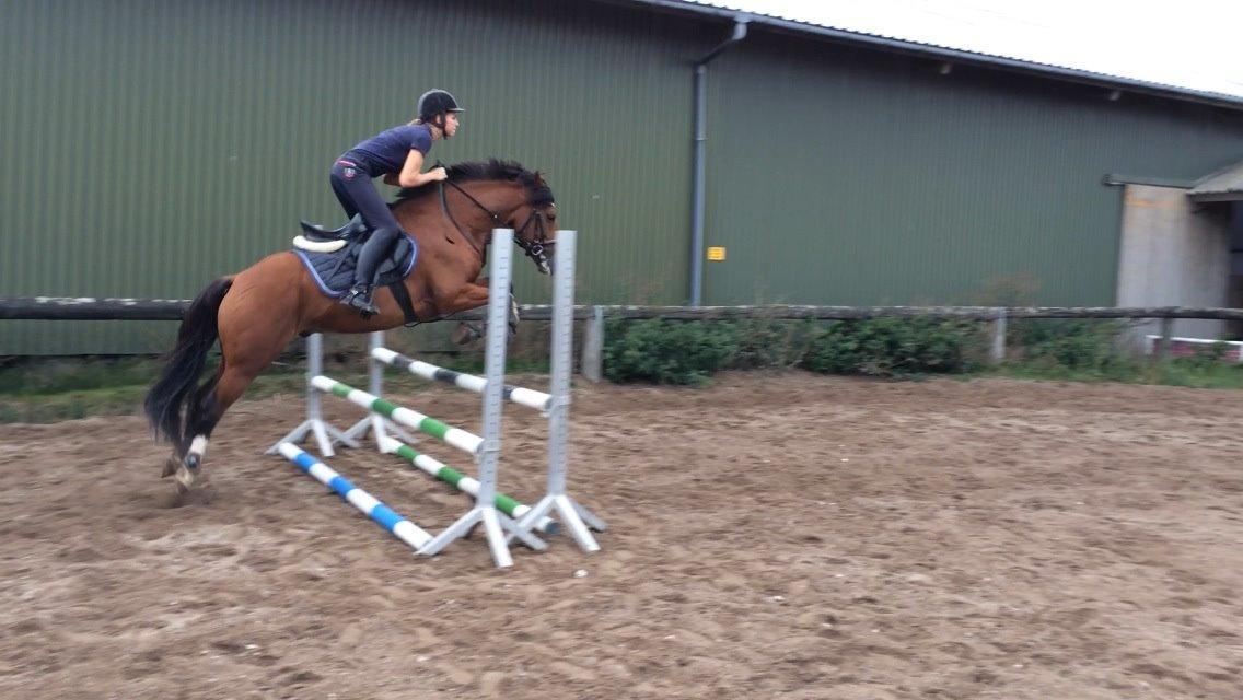 New Forest Saxos Sir kick a' lot billede 8