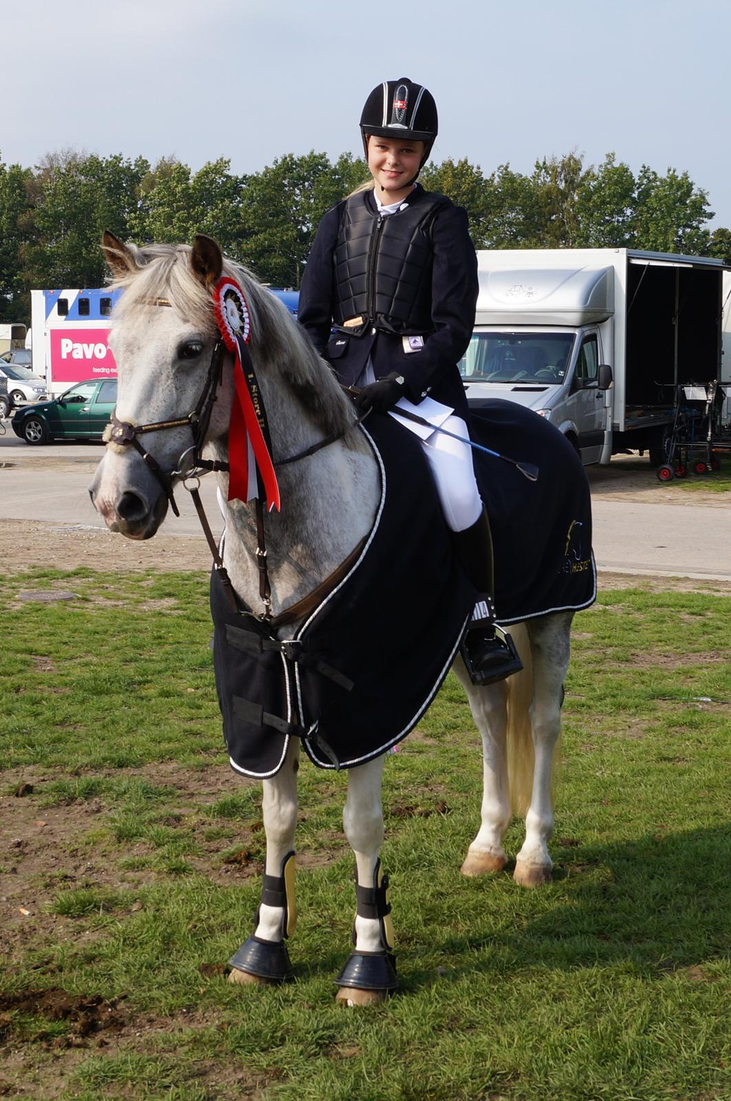 Anden særlig race Blue Fancy (Lille Grå) - 2. Lille Grå første plads til stor hestedag <3 :D billede 2