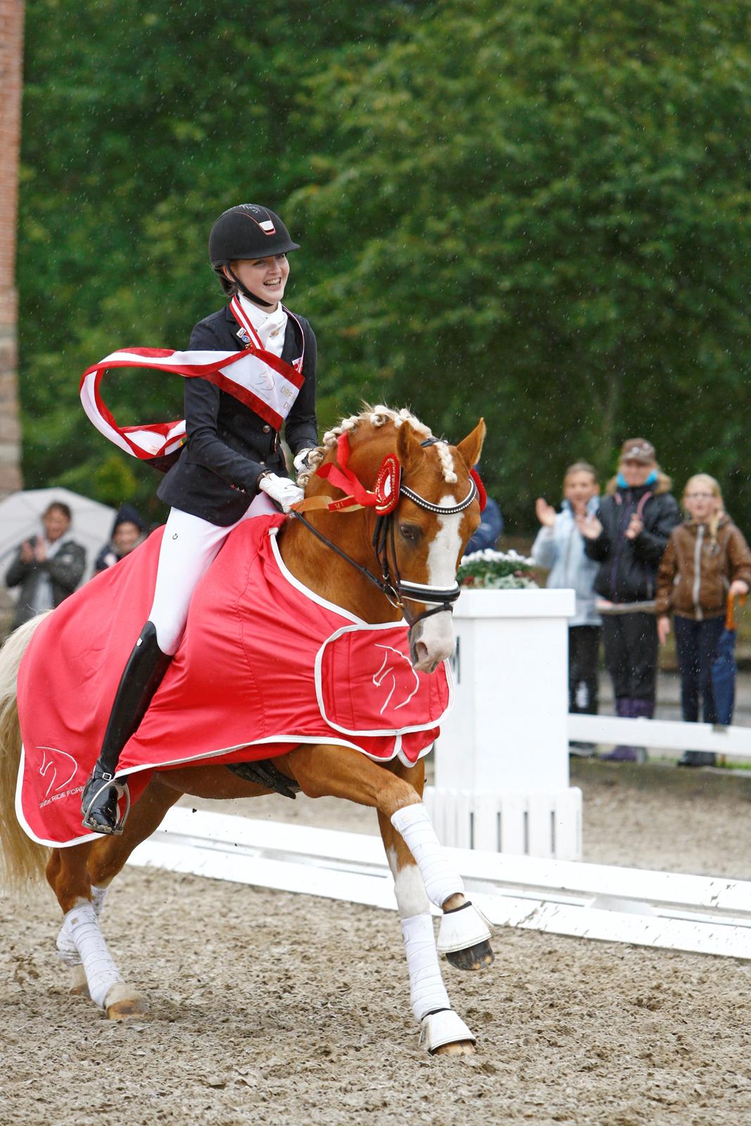 Tysk Sportspony Der Harlekin B A-pony - DM 2014 billede 1