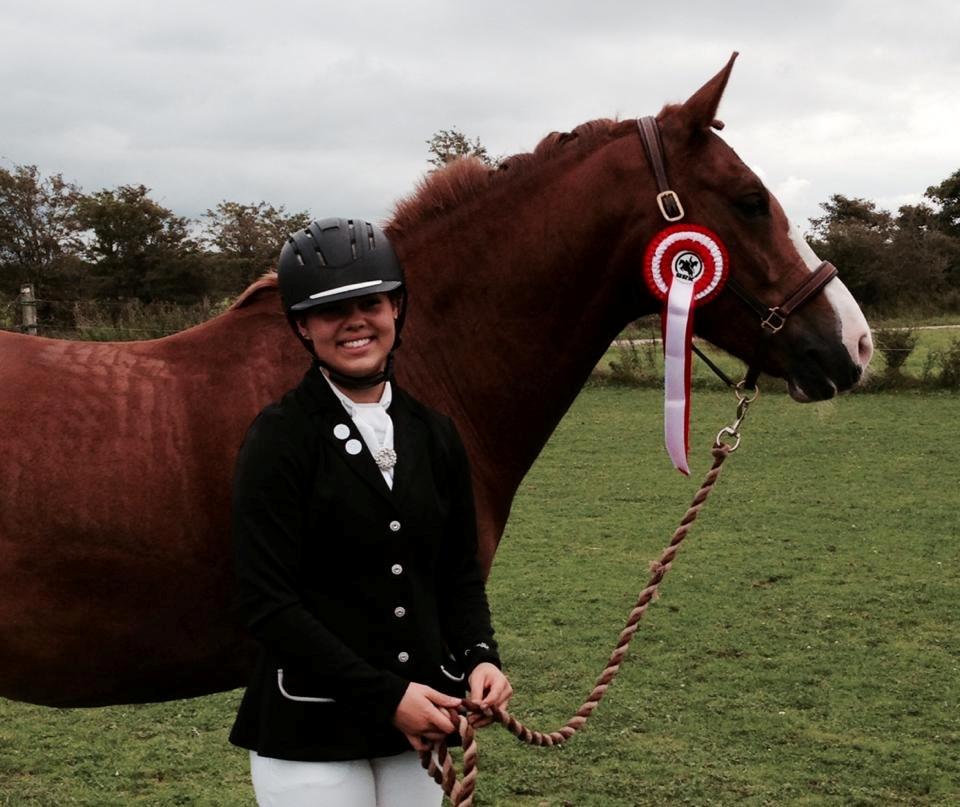 Anden særlig race Milando - Dejligste pony, som tog første pladsen i LA2 med 67,81% billede 3