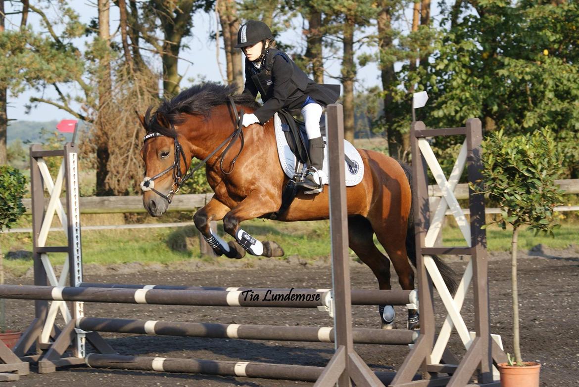 DSP Beauty billede 1