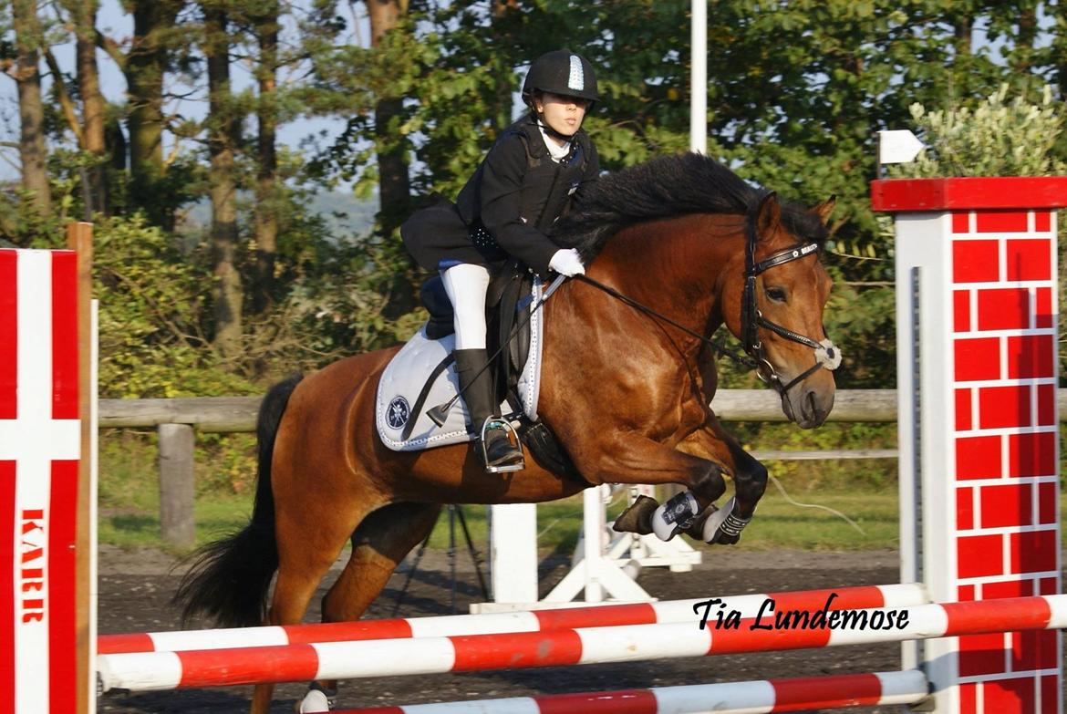 DSP Beauty billede 11