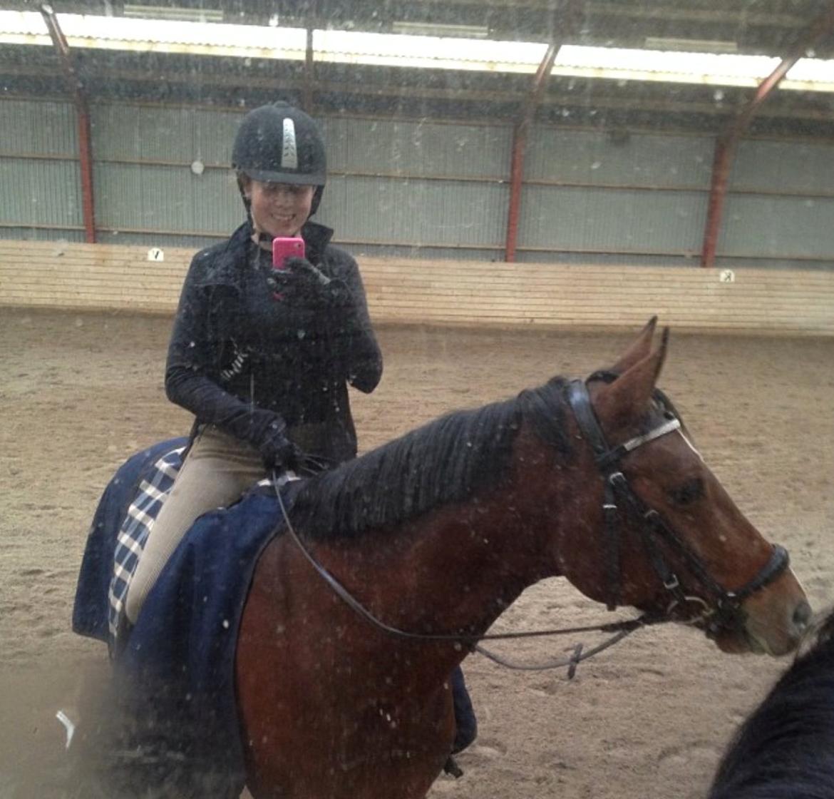 Tysk Sportspony Chantree - Ham her. <3 billede 18