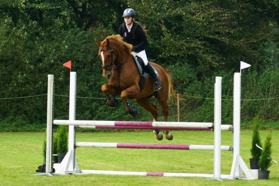 Tysk Oldenburger Bladsgaards Windy Sky - Bramming rideklub d. 6/9-14 Fotograf: Helena Jørgensen Photography billede 13