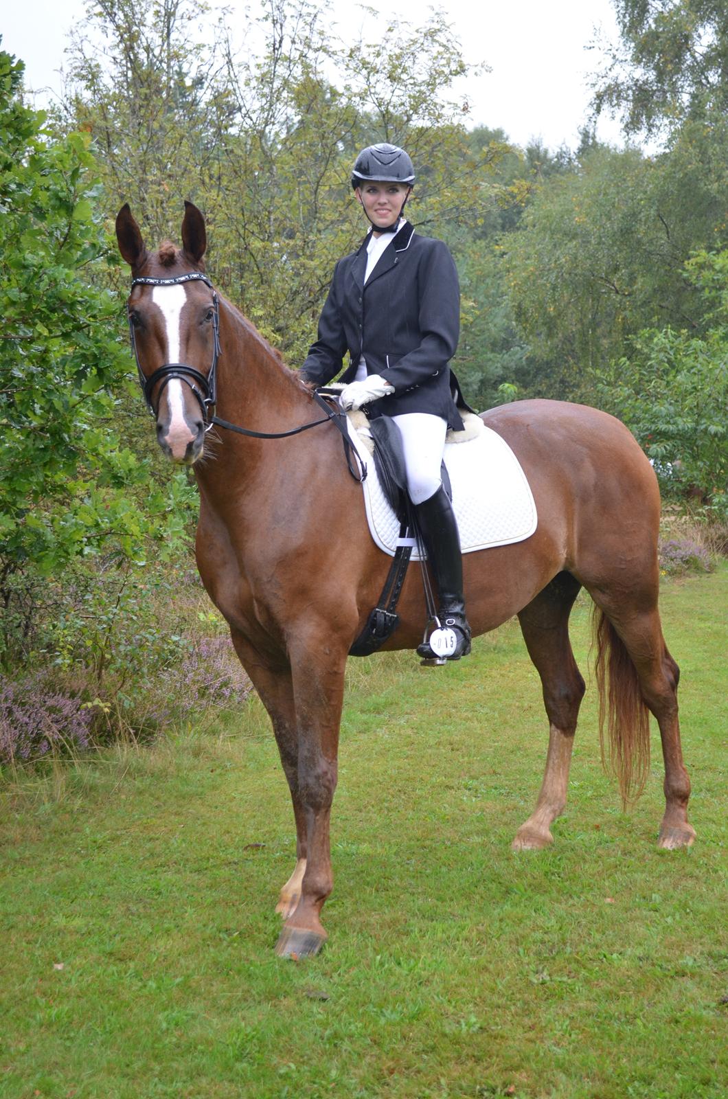 Frederiksborg Vestergårds Meleisa - Kåring og Championat i Brande 2014, LB3 del 1 & 2 Samlet 2. plads billede 3