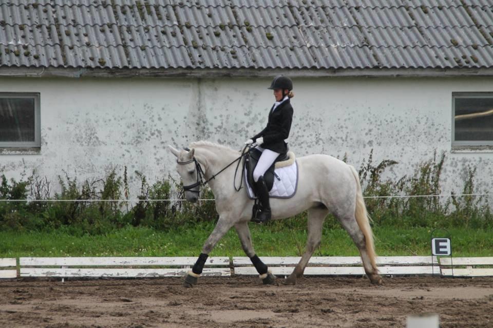 Connemara Drummond Laura billede 2