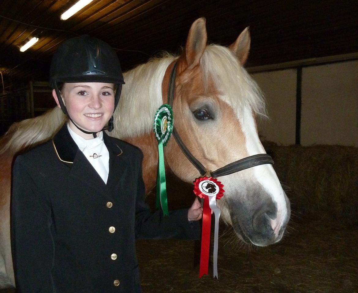 Haflinger Bailey (ejes af HDR) billede 14