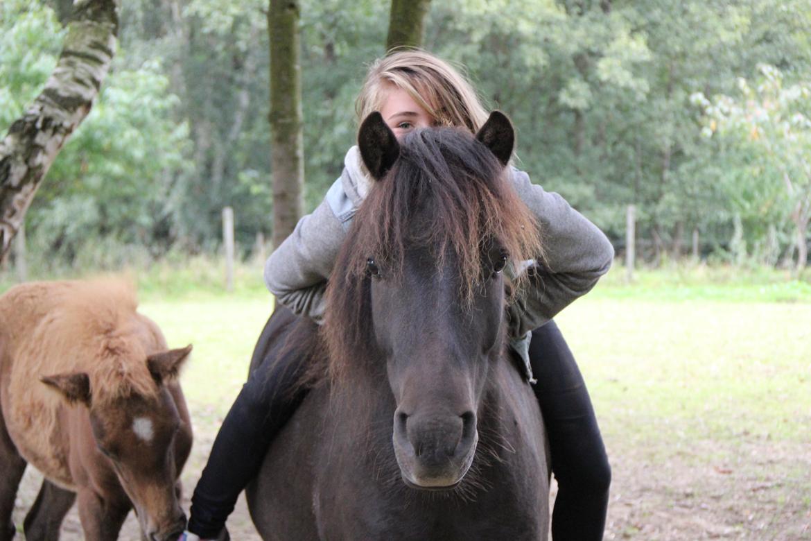 Anden særlig race Mønstergårdens Whisper In The Dark (himmelhest) billede 20