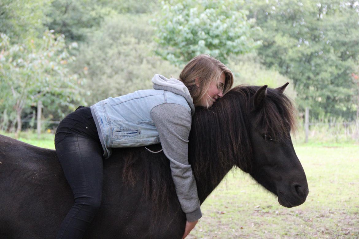 Anden særlig race Mønstergårdens Whisper In The Dark (himmelhest) billede 19