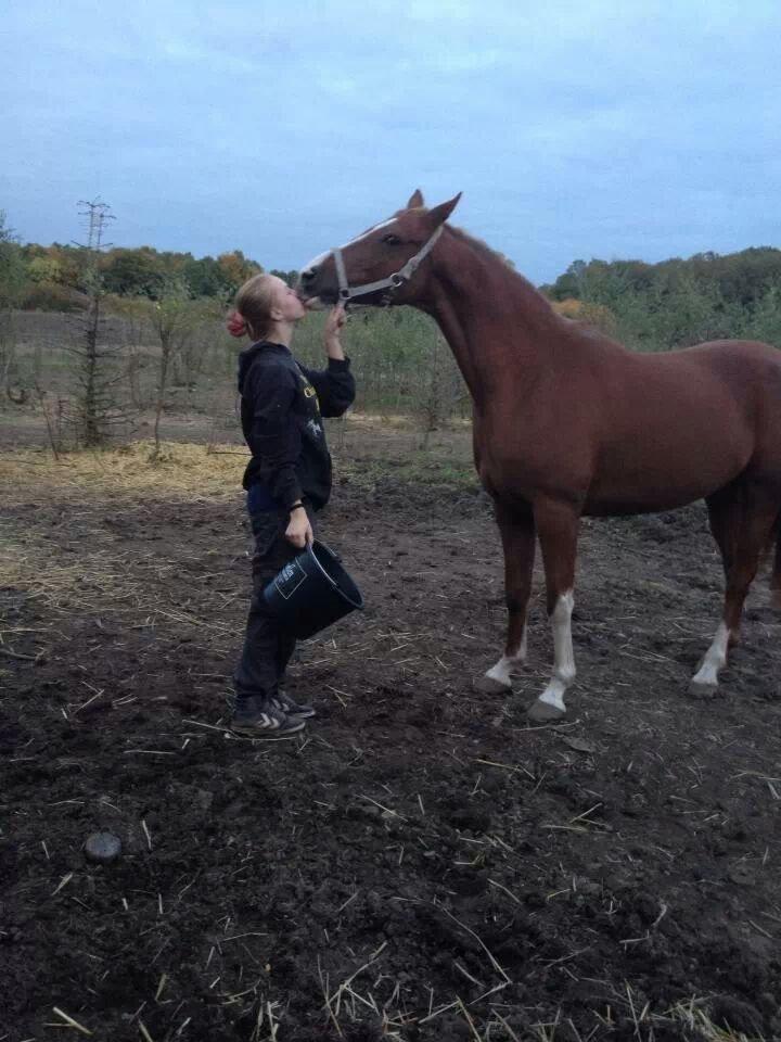 DSP Hedemands Athlet / Leten billede 18