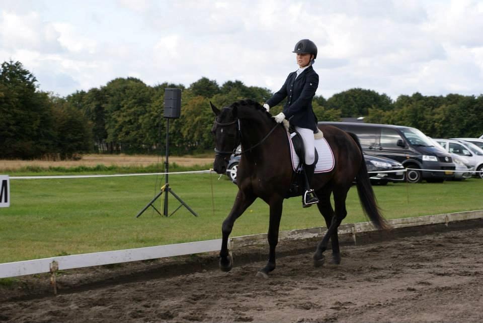 Dansk Varmblod LUTHERS TEQUILA SUNRISE - Sunny og jeg i en LA1 til vores første distriktsstævne - 23/08 - 2014 billede 11