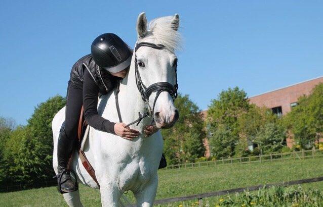 Anden særlig race Silver <3  billede 1